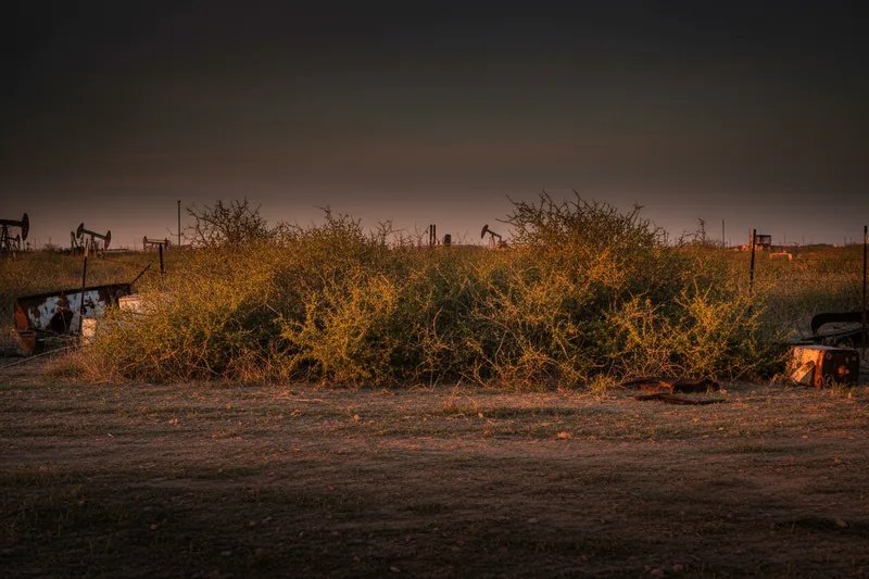 Mesquite and brush on North Texas ranch land before clearing